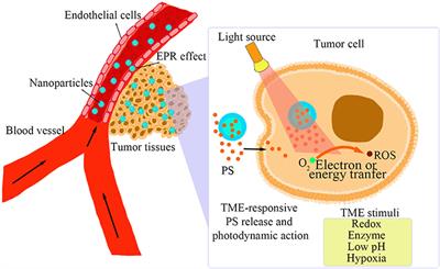 Tumor Microenvironment-Responsive Nanomaterials as Targeted Delivery Carriers for Photodynamic Anticancer Therapy